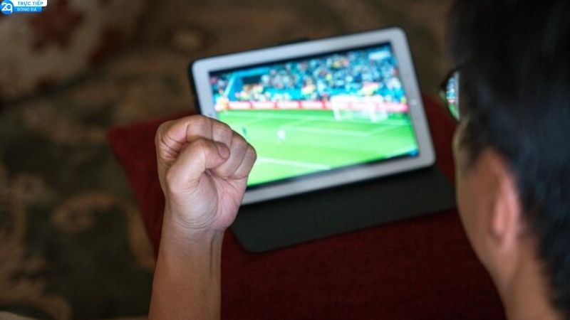 Xem Trực Tuyến Laliga - Đủ Trận Hot, Free, Không Lag 4 meo-theo-doi-la-liga-truc-tuyen-tai-2qlive-khong-bi-cham-hinh